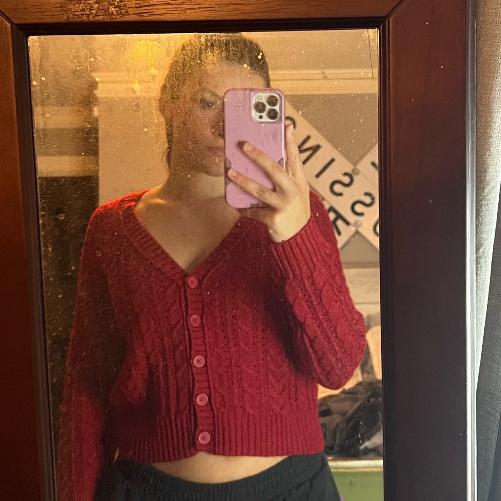 American Eagle Outfitters Red Cable Knit Cardigan